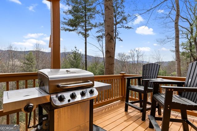 272 Laurel Mountain Road, Cherry Log, GA 30522