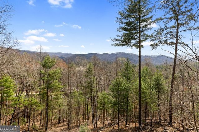 272 Laurel Mountain Road, Cherry Log, GA 30522