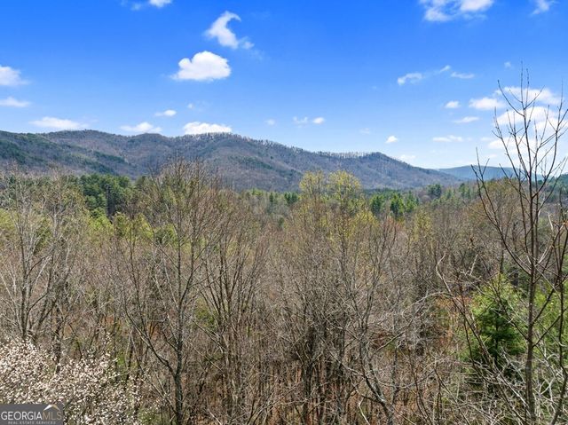 272 Laurel Mountain Road, Cherry Log, GA 30522