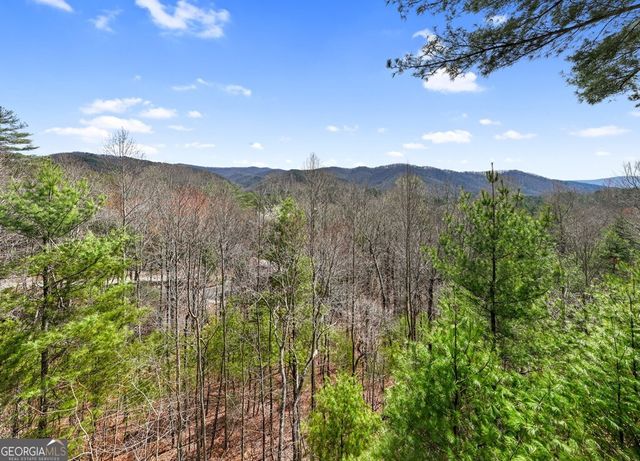272 Laurel Mountain Road, Cherry Log, GA 30522