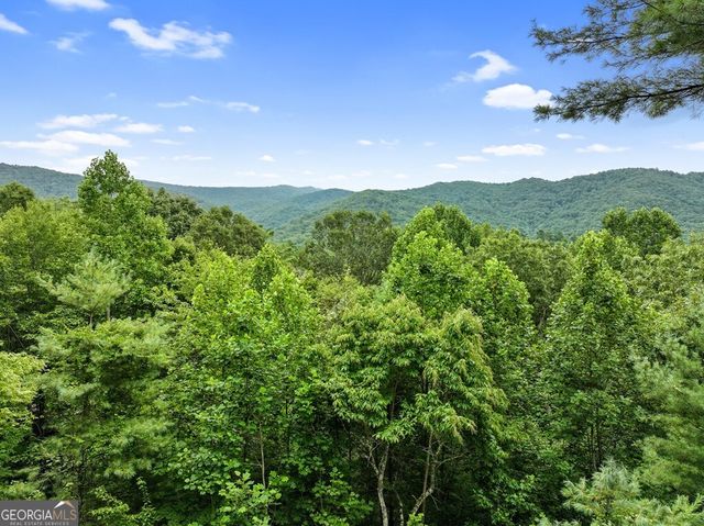 272 Laurel Mountain Road, Cherry Log, GA 30522