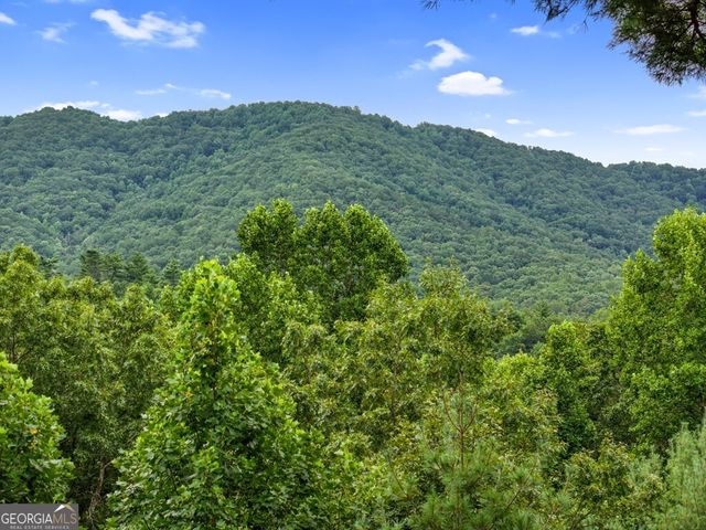 272 Laurel Mountain Road, Cherry Log, GA 30522