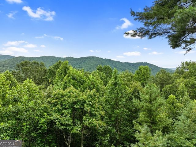 272 Laurel Mountain Road, Cherry Log, GA 30522