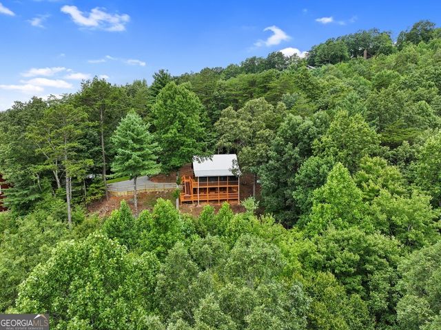 272 Laurel Mountain Road, Cherry Log, GA 30522