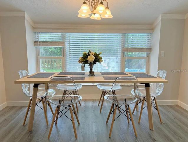 12216 NOREAST LAKE DRIVE, Tampa, FL 33612