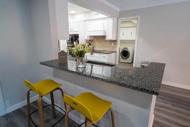 12216 NOREAST LAKE DRIVE, Tampa, FL 33612