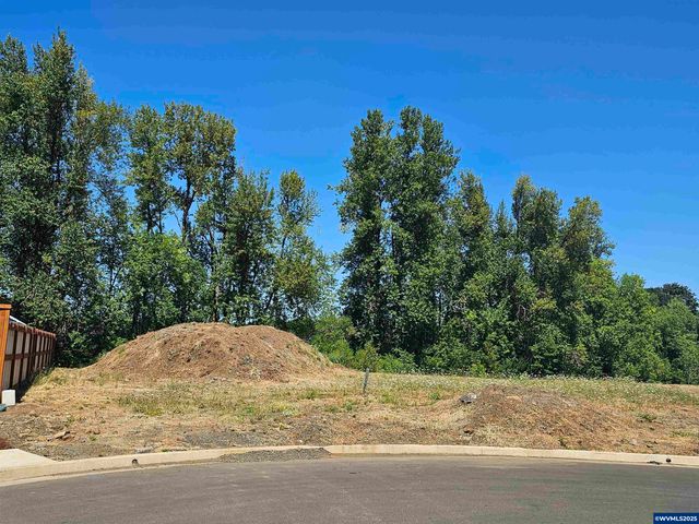 494 SW Oregon Falls Dr, Dallas, OR 97338
