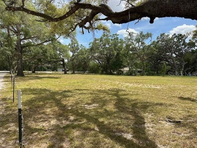 16567 US HIGHWAY 41, Spring Hill, FL 34610