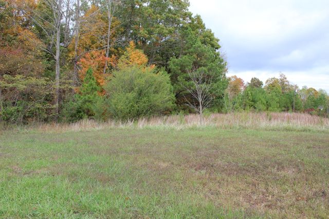 1165 Green Shanty Rd, Tennessee Ridge, TN 37178