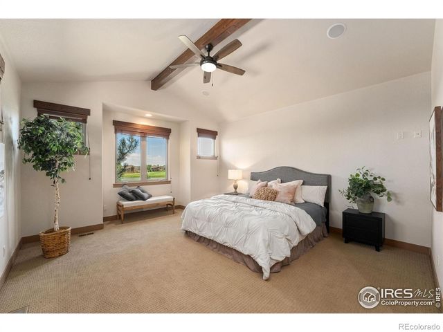 6558 Murano Drive, Windsor, CO 80550