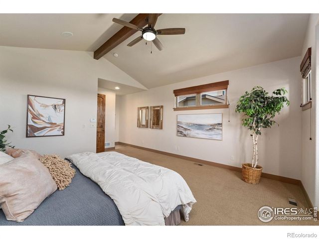 6558 Murano Drive, Windsor, CO 80550