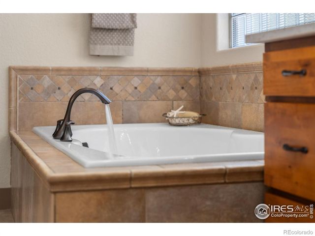 6558 Murano Drive, Windsor, CO 80550