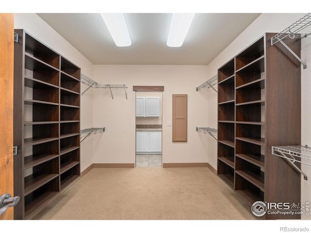 6558 Murano Drive, Windsor, CO 80550