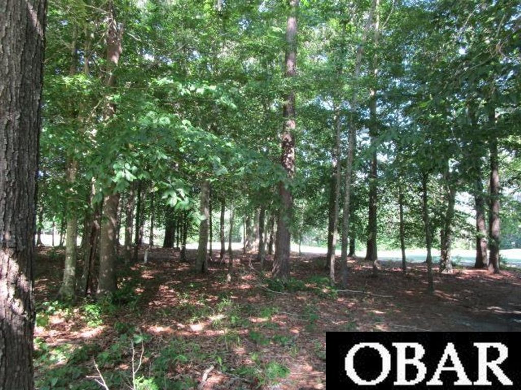 Lot 1 Roanoke Drive, Hertford, NC 27944