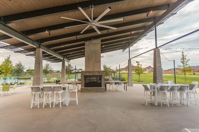 1628 Hydrangea Lane, Prosper, TX 75009