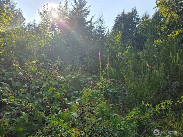 27313 Vashon Highway SW, Vashon, WA 98070