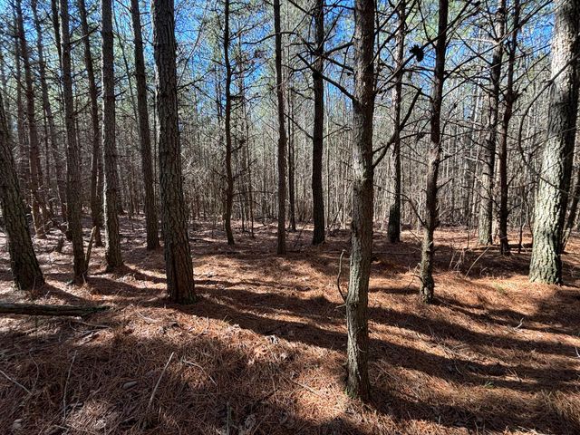 8 Fredonia Road, Dunlap, TN 37327