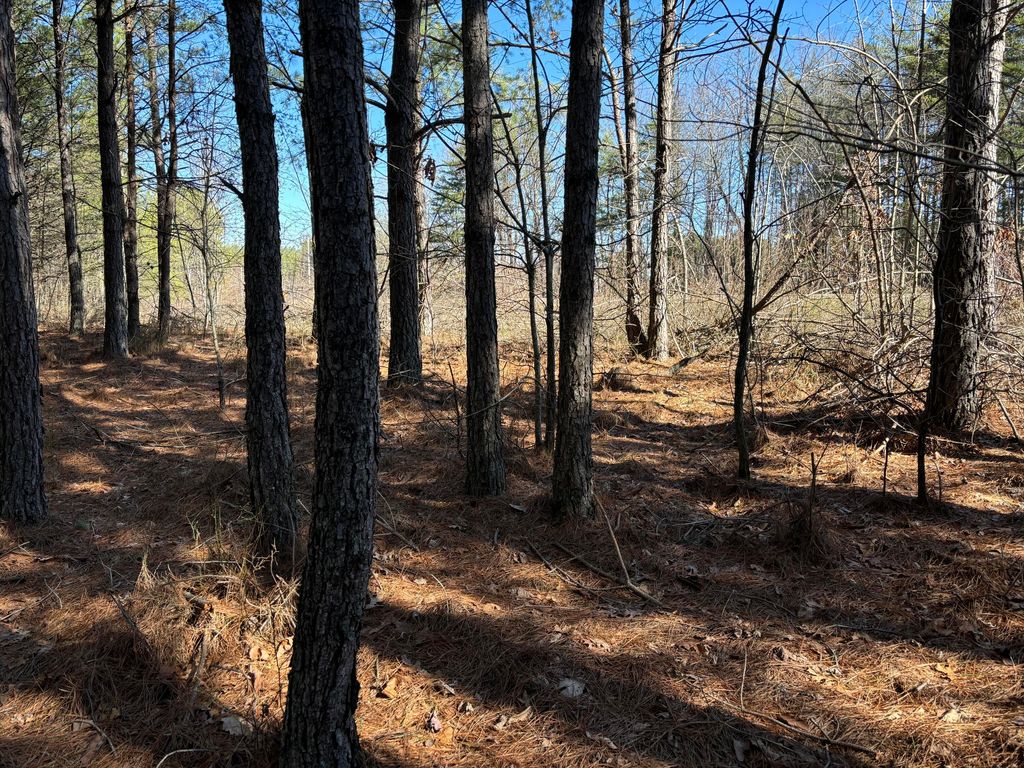 8 Fredonia Road, Dunlap, TN 37327