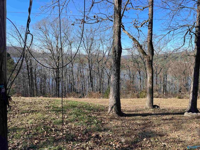 1.12 acres Savory Drive, Scottsboro, AL 35769