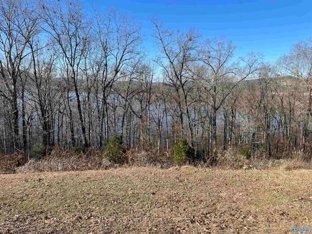 1.12 acres Savory Drive, Scottsboro, AL 35769