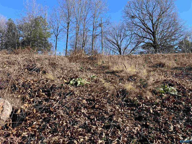 1.12 acres Savory Drive, Scottsboro, AL 35769