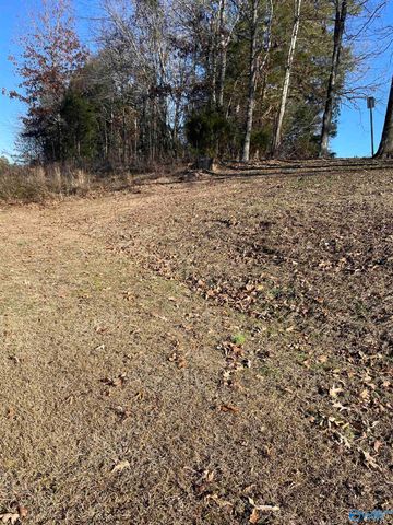 1.12 acres Savory Drive, Scottsboro, AL 35769