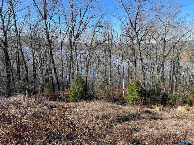 1.12 acres Savory Drive, Scottsboro, AL 35769