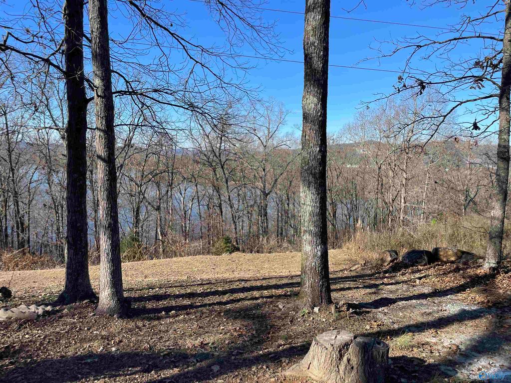 1.12 acres Savory Drive, Scottsboro, AL 35769