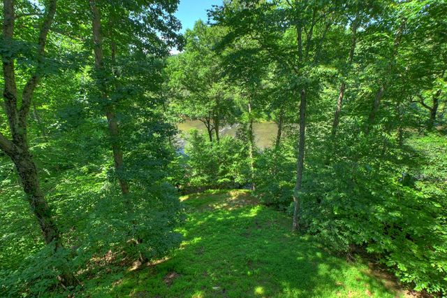 92 Fish Trap Road, Blue Ridge, GA 30513
