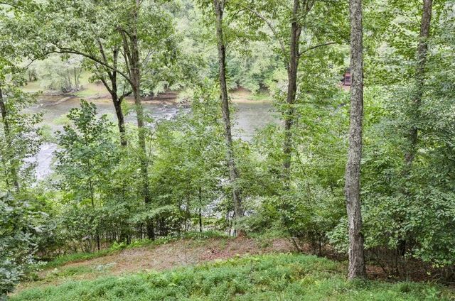92 Fish Trap Road, Blue Ridge, GA 30513
