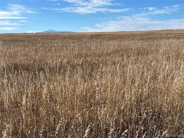 County 41 Road, Elbert, CO 80106