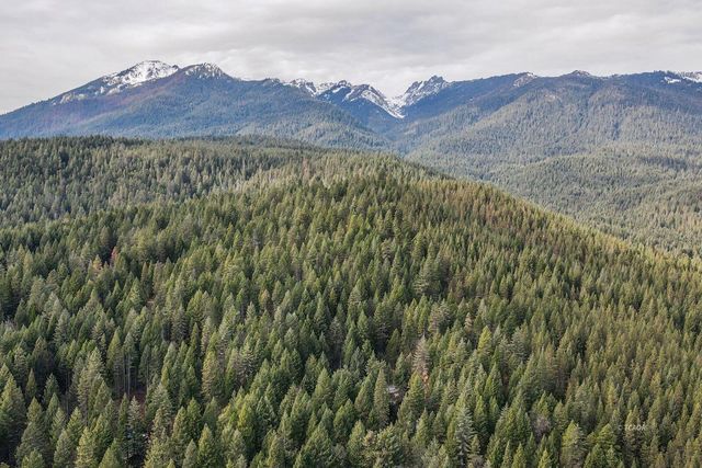 399 & 410 Lake Forest Drive, Trinity Center, CA 96091