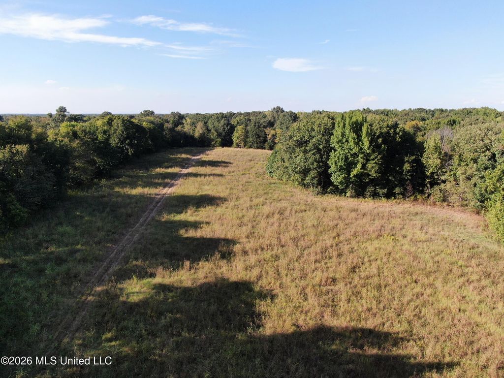 15 Tulane Road, Nesbit, MS 38651 — photo 3