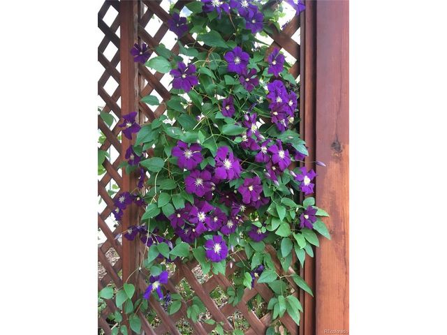 725 Lancers Ct W, Monument, CO 80132