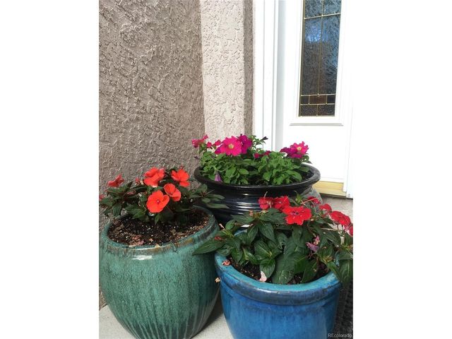 725 Lancers Ct W, Monument, CO 80132