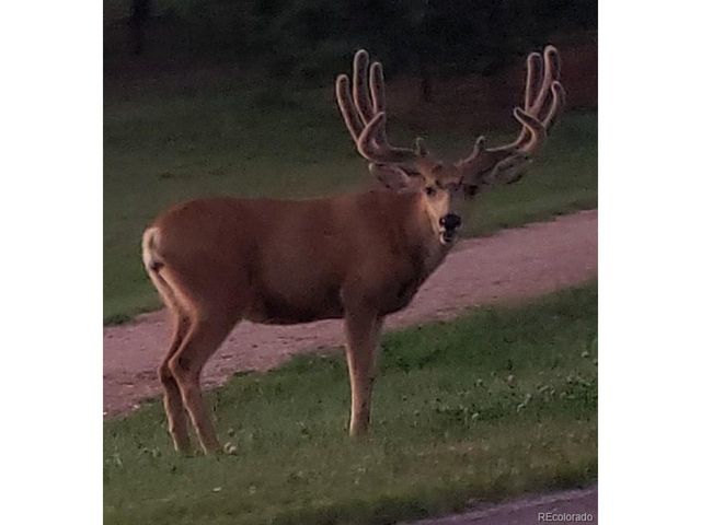 725 Lancers Ct W, Monument, CO 80132