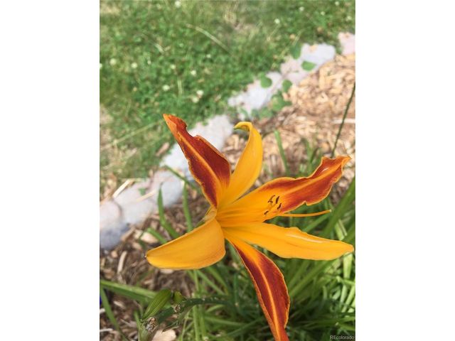 725 Lancers Ct W, Monument, CO 80132