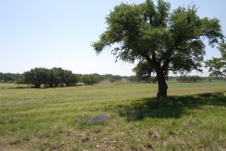 2165 FM 479, Harper, TX 78631