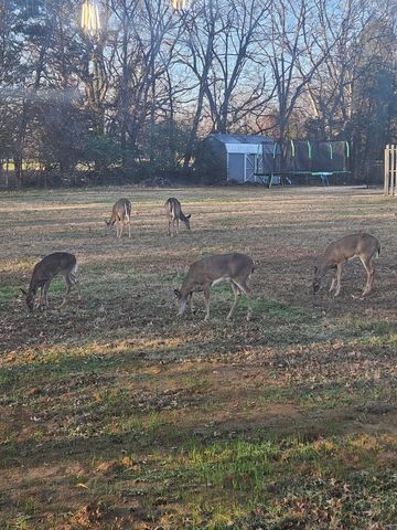 1710 Hickory Trace Dr, Gallatin, TN 37066