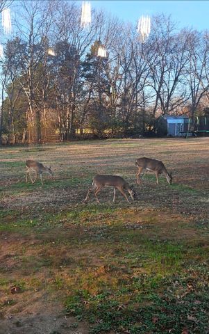 1710 Hickory Trace Dr, Gallatin, TN 37066