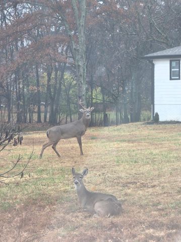 1710 Hickory Trace Dr, Gallatin, TN 37066