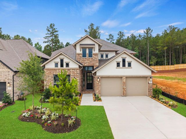 26151 Treetop Terrace Lane, Montgomery, TX 77316