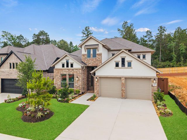 26151 Treetop Terrace Lane, Montgomery, TX 77316