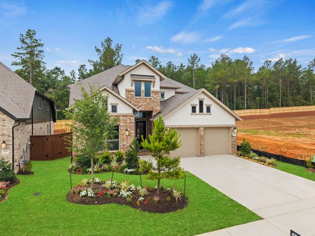 26151 Treetop Terrace Lane, Montgomery, TX 77316