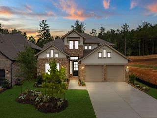 26151 Treetop Terrace Lane, Montgomery, TX 77316
