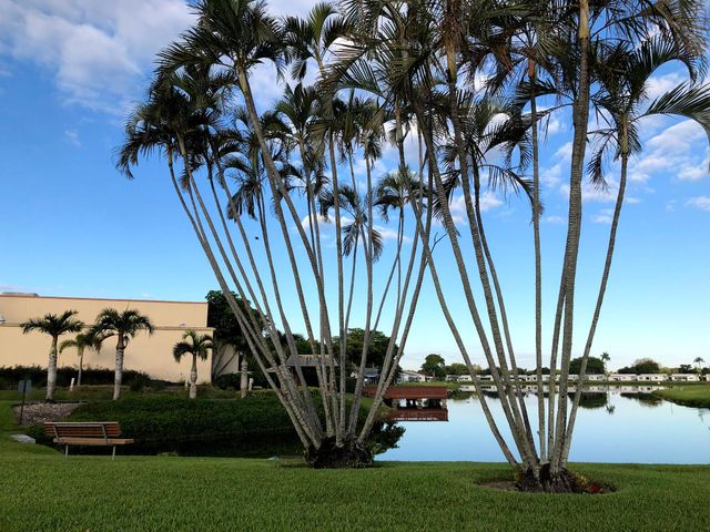 1331 W Campanelli Drive, Plantation, FL 33322