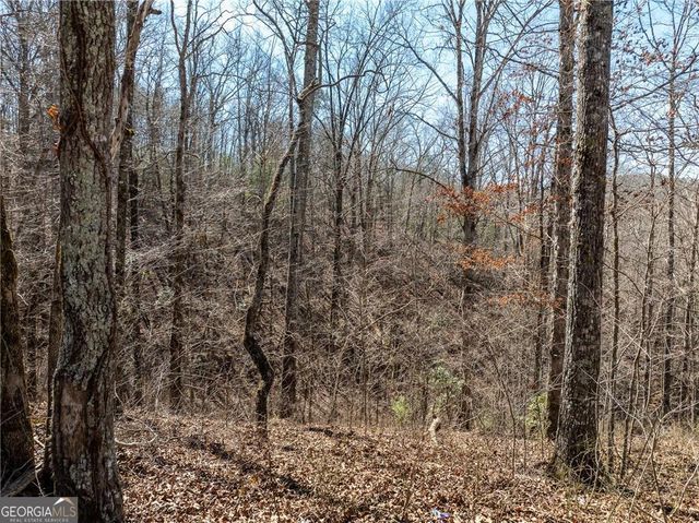 0 River Top Road 1807, Talking Rock, GA 30175