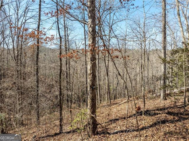 0 River Top Road 1807, Talking Rock, GA 30175