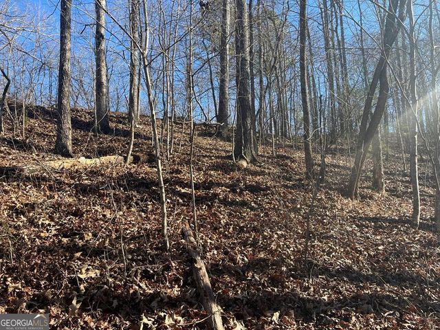 0 River Top Road 1807, Talking Rock, GA 30175