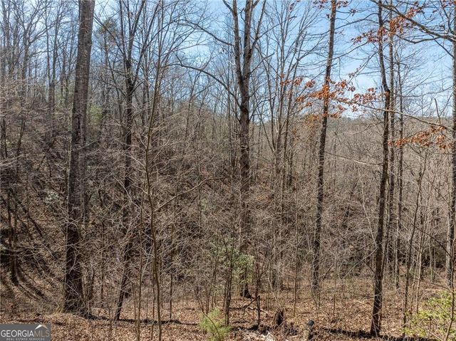 0 River Top Road 1807, Talking Rock, GA 30175